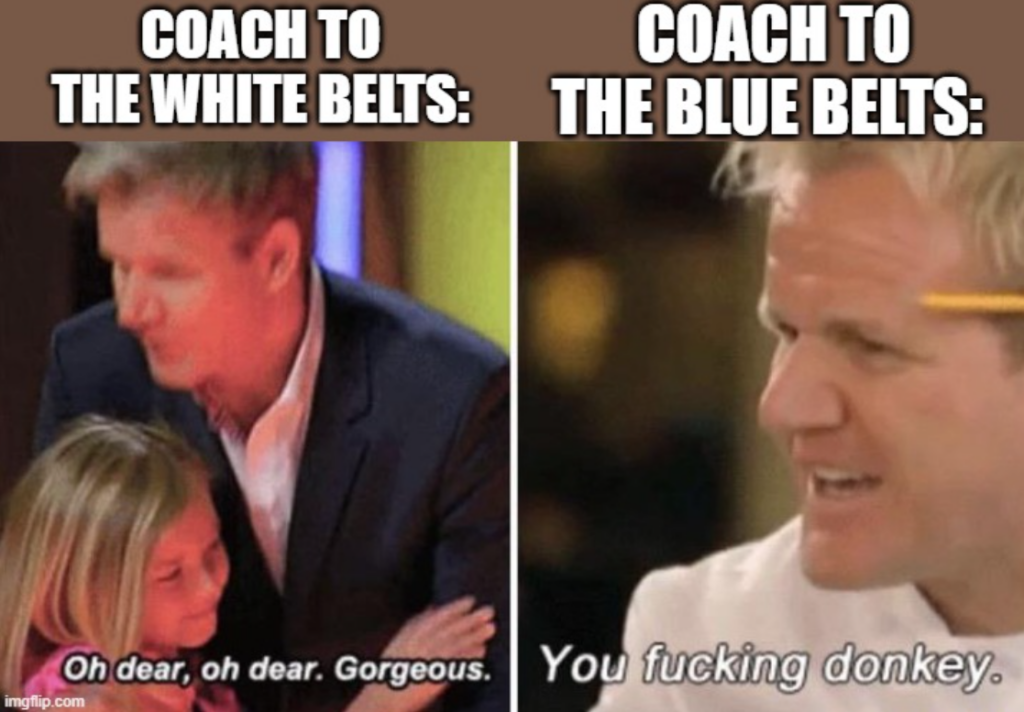 Jiu JItsu Meme 9, what GR things of blue belts